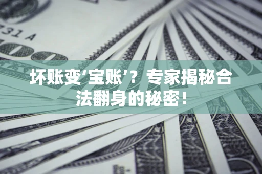 北京坏账变‘宝账’？专家揭秘合法翻身的秘密！