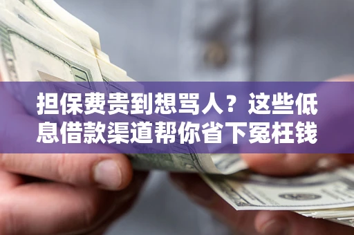 北京担保费贵到想骂人？这些低息借款渠道帮你省下冤枉钱